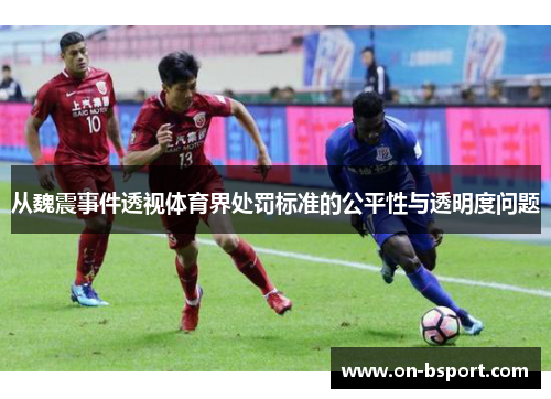 从魏震事件透视体育界处罚标准的公平性与透明度问题