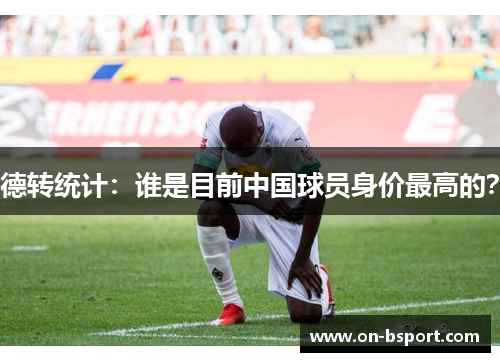 德转统计：谁是目前中国球员身价最高的？