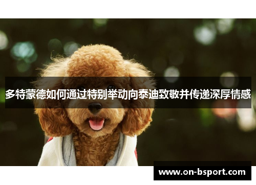 多特蒙德如何通过特别举动向泰迪致敬并传递深厚情感