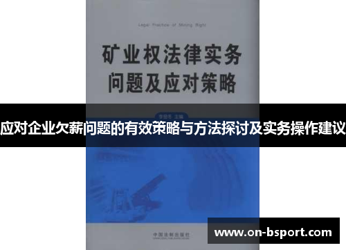 应对企业欠薪问题的有效策略与方法探讨及实务操作建议