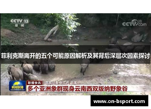 菲利克斯离开的五个可能原因解析及其背后深层次因素探讨
