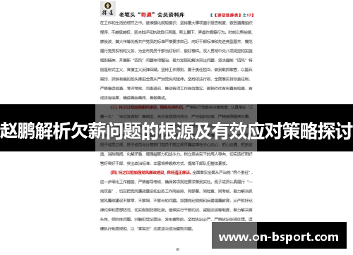 赵鹏解析欠薪问题的根源及有效应对策略探讨